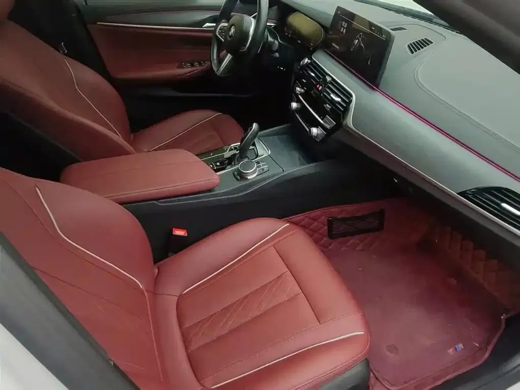 BMW 5 Series 2021 из CN, фото 4