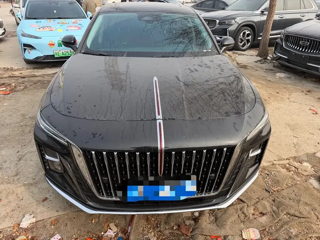 Hongqi H5 2023 из CN, фото 9