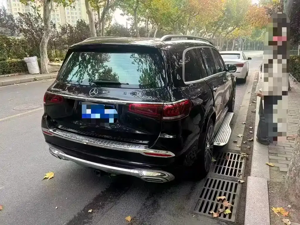 Mercedes-Benz GLS 2021 из CN, фото 6