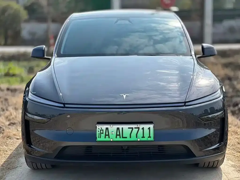 Tesla Model Y — фото 2