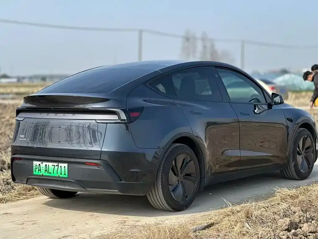 Tesla Model Y — фото 8