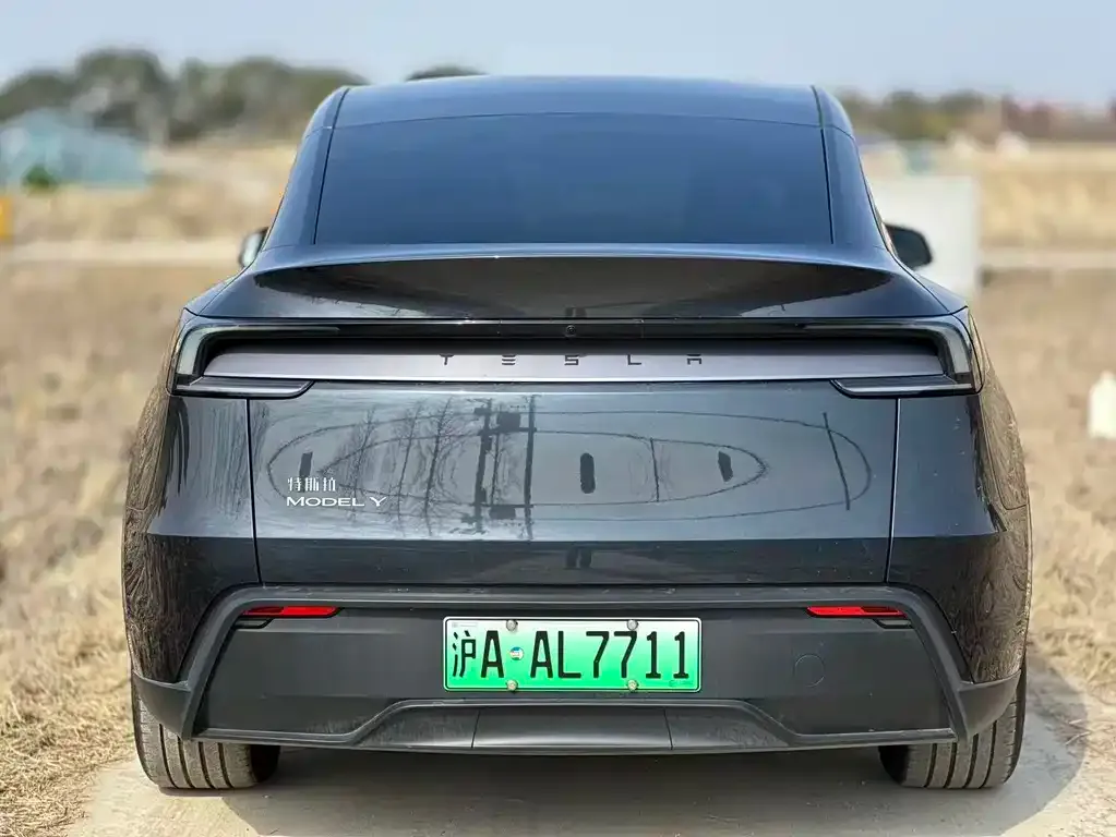 Tesla Model Y — фото 9
