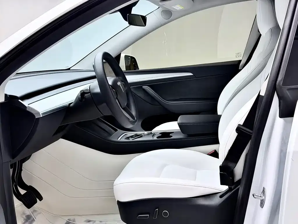 Tesla Model Y 2024 из CN, фото 5
