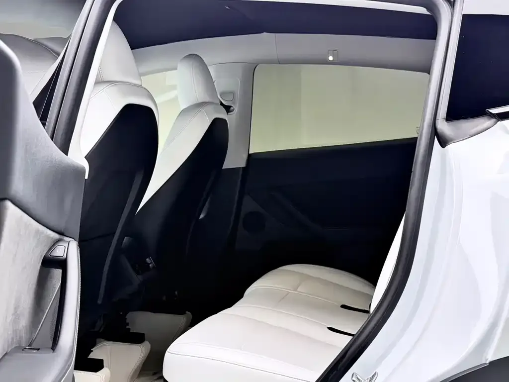 Tesla Model Y 2024 из CN, фото 2