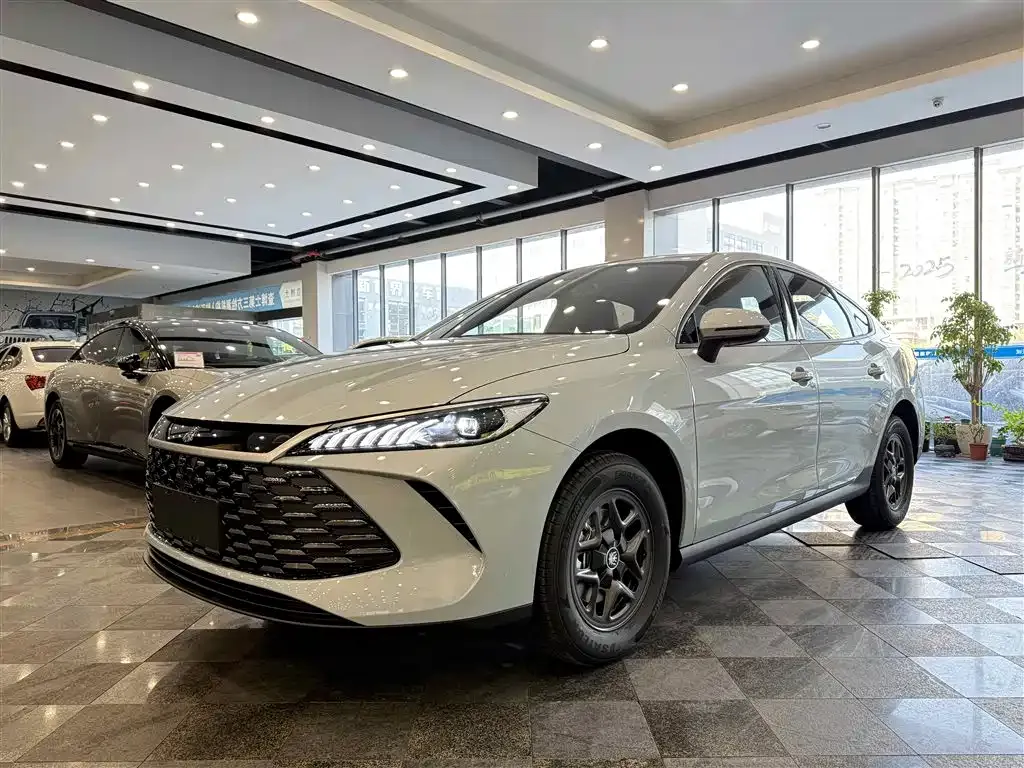 BYD Qin PLUS — фото 1