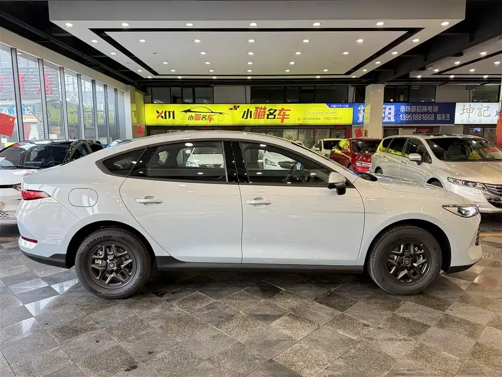 BYD Qin PLUS — фото 9