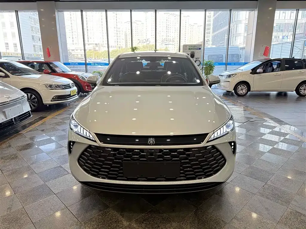 BYD Qin PLUS — фото 8