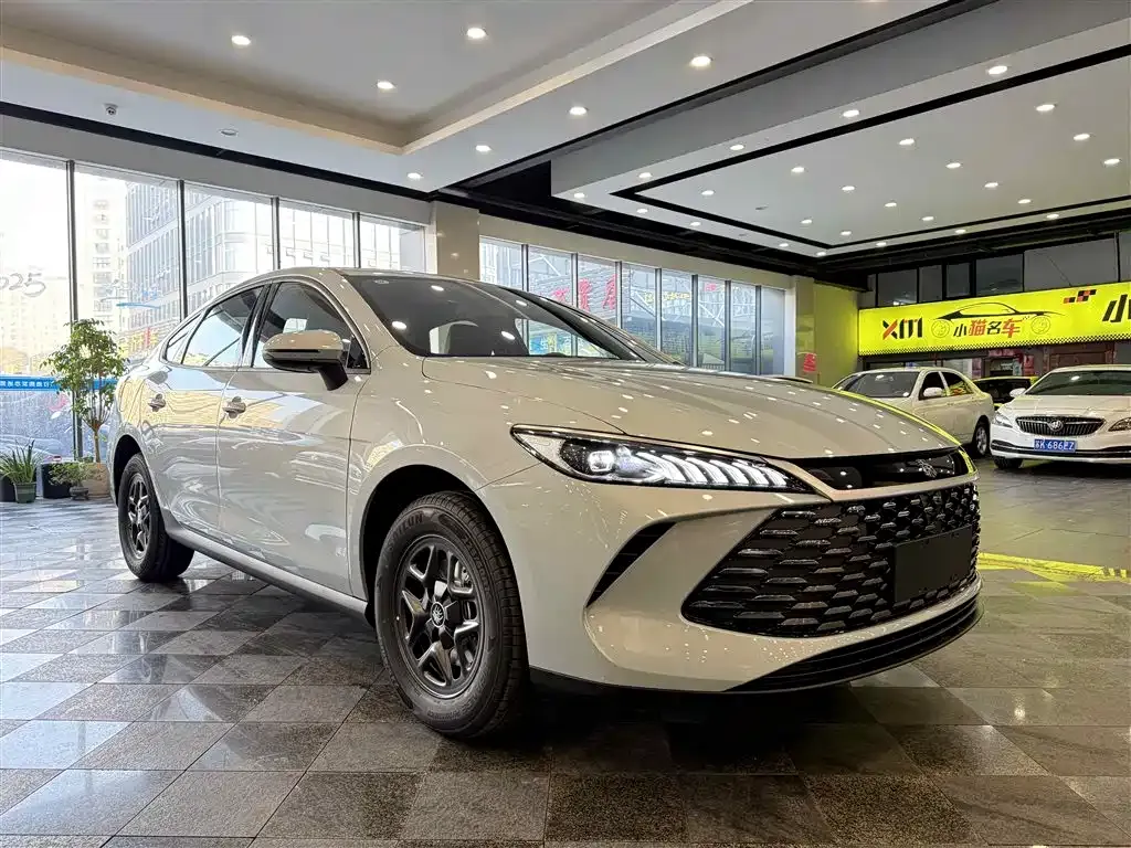 BYD Qin PLUS — фото 3
