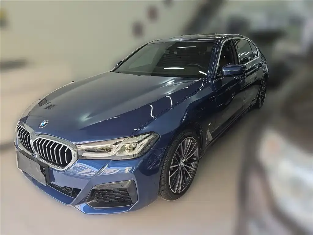 BMW 5 Series 2022 из CN, фото 5