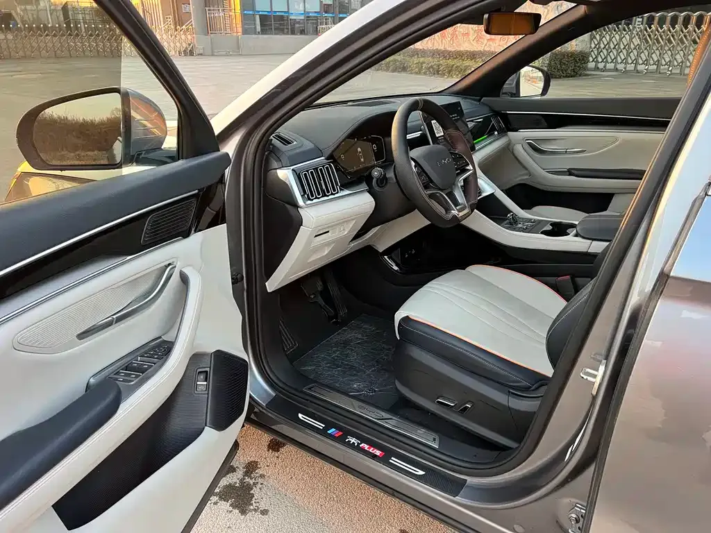 BYD PLUS New Energy — фото 6