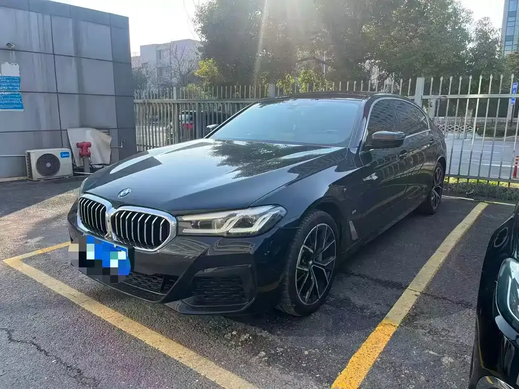 BMW 5 Series 2024 из CN, фото 1