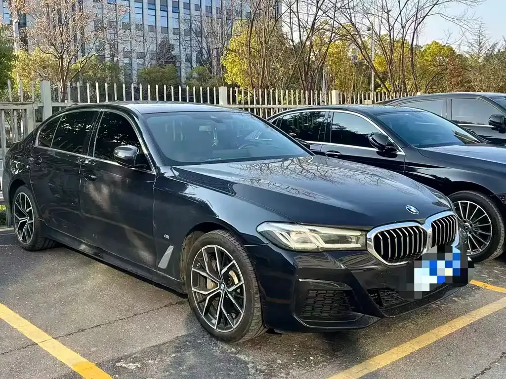 BMW 5 Series 2024 из CN, фото 8