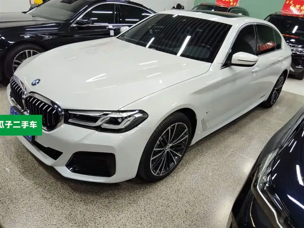 BMW 5 Series 2021 из CN, фото 2