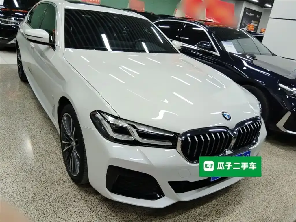 BMW 5 Series 2021 из CN, фото 7