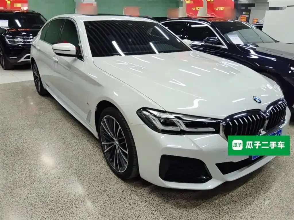 BMW 5 Series 2021 из CN, фото 9
