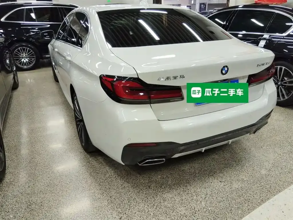 BMW 5 Series 2021 из CN, фото 6
