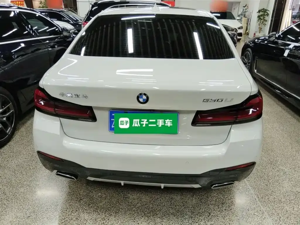 BMW 5 Series 2021 из CN, фото 8