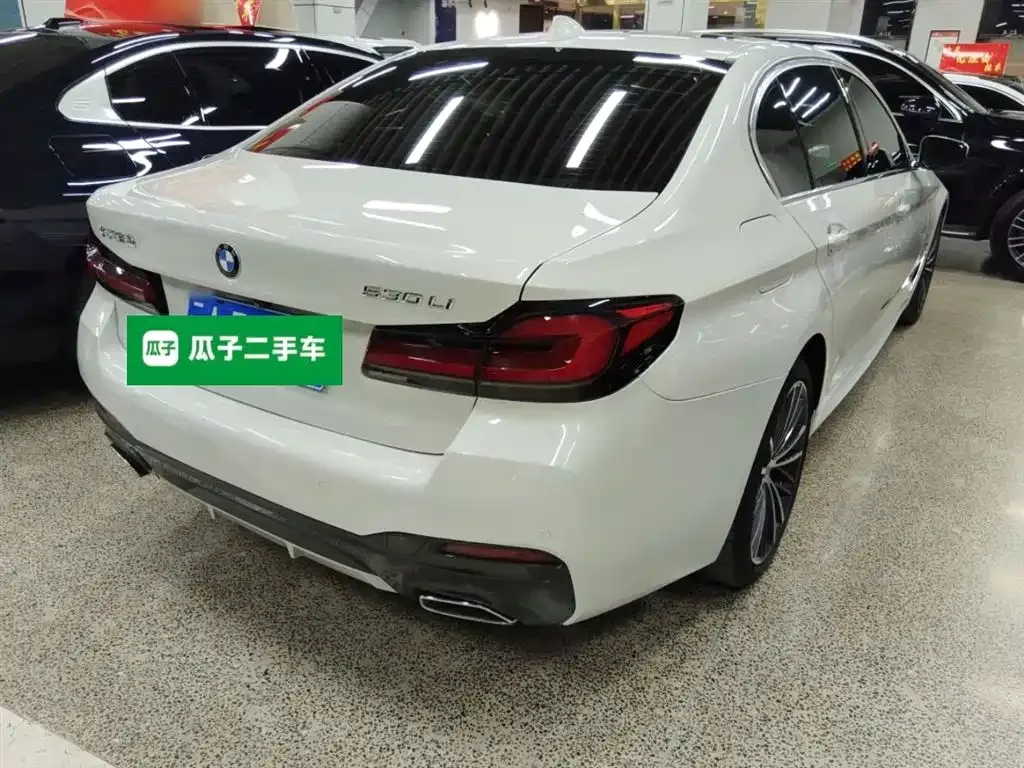 BMW 5 Series 2021 из CN, фото 4