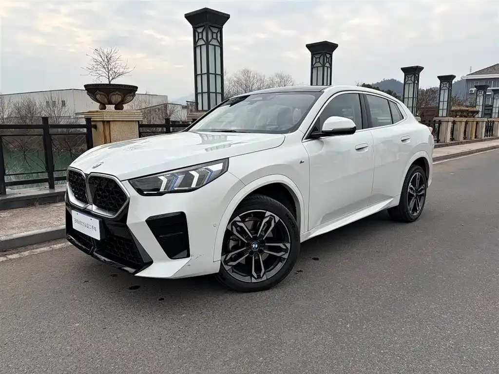 BMW X2 (Import) — фото 1