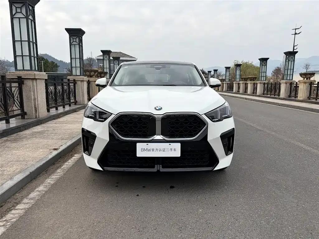 BMW X2 (Import) — фото 6