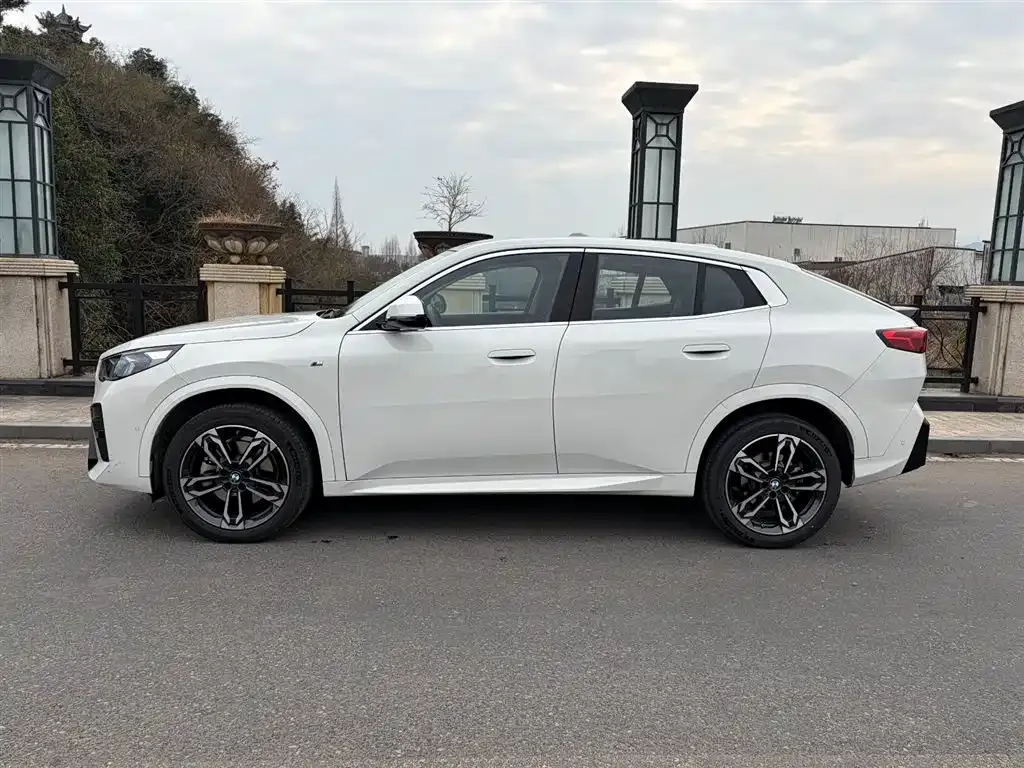 BMW X2 (Import) — фото 3