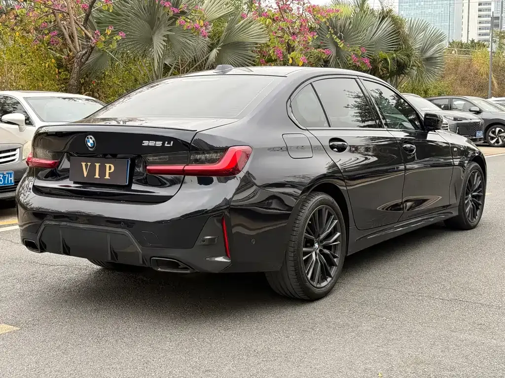 BMW 3 Series 2024 из CN, фото 7