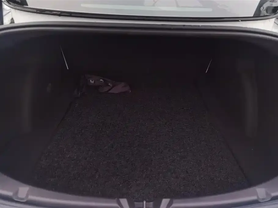 Tesla Model 3 2021 из CN, фото 2