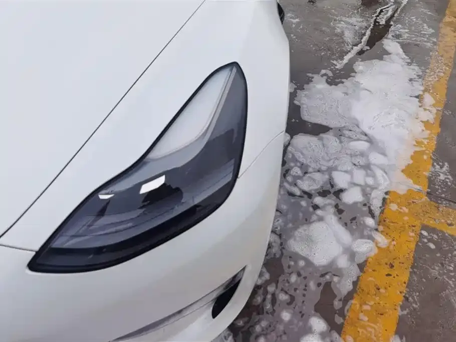 Tesla Model 3 2021 из CN, фото 8