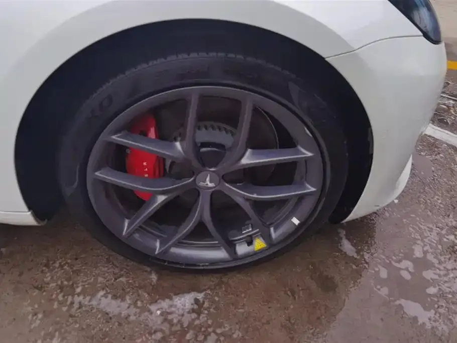 Tesla Model 3 2021 из CN, фото 6