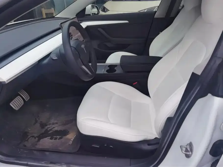 Tesla Model 3 2021 из CN, фото 5