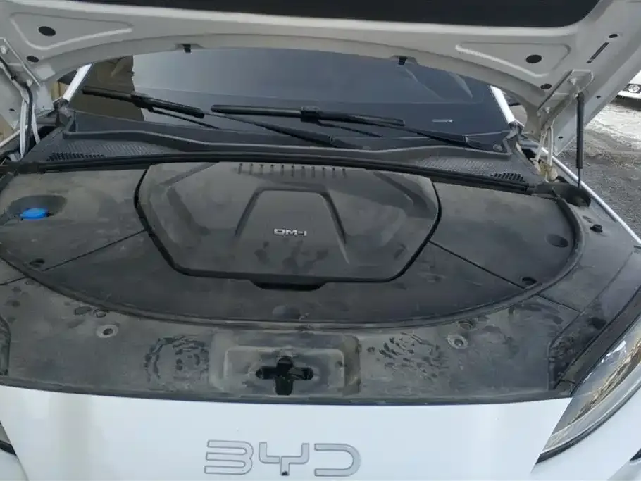 BYD PLUS New Energy — фото 8