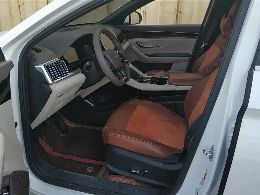 BYD PLUS New Energy — фото 10