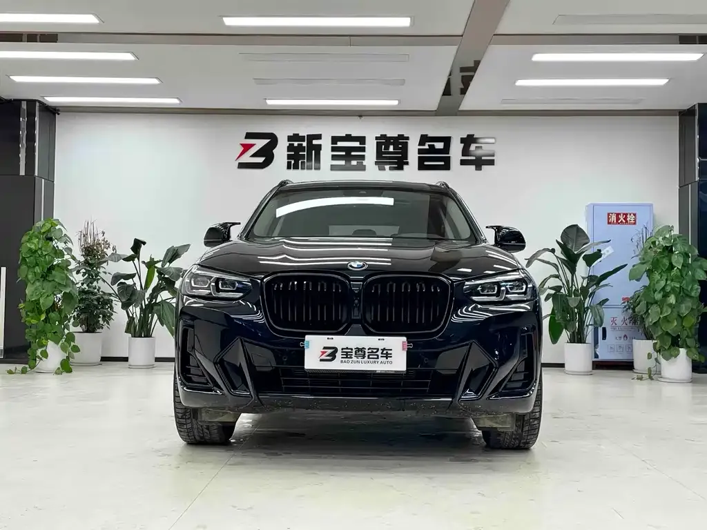 BMW X3 2024 из CN, фото 9