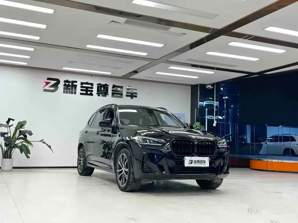BMW X3 2024 из CN, фото 10
