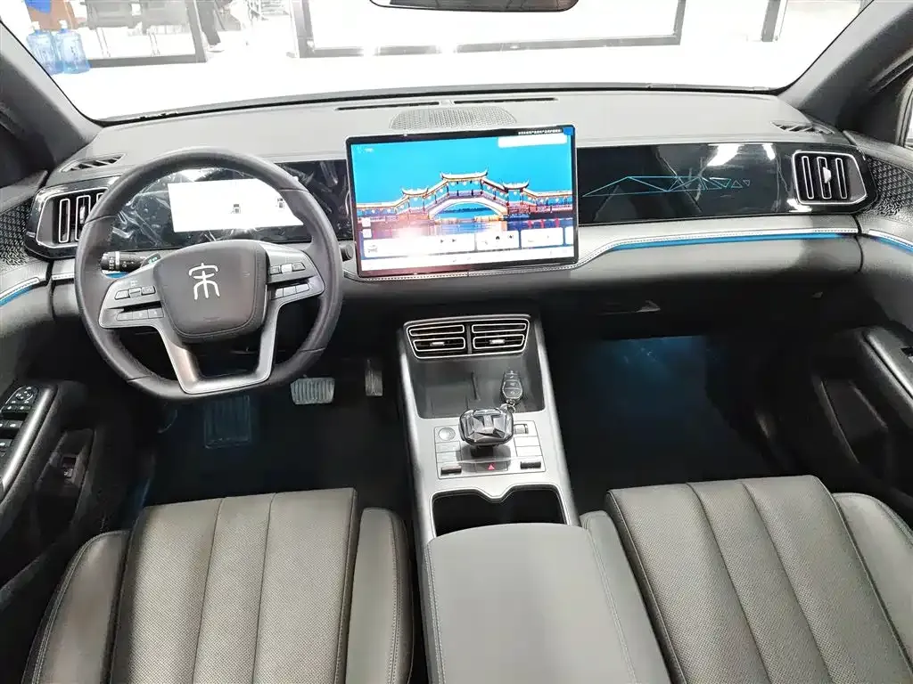 BYD Pro New Energy 2025 из CN, фото 9