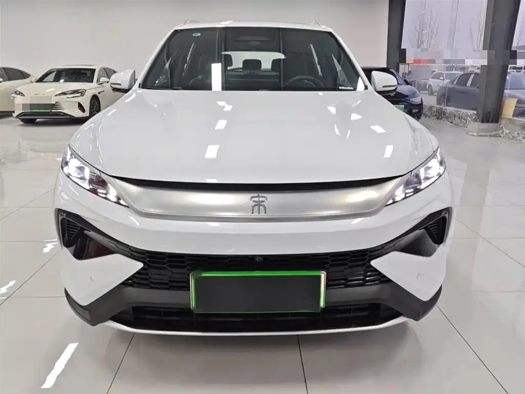 BYD Pro New Energy 2025 из CN, фото 2