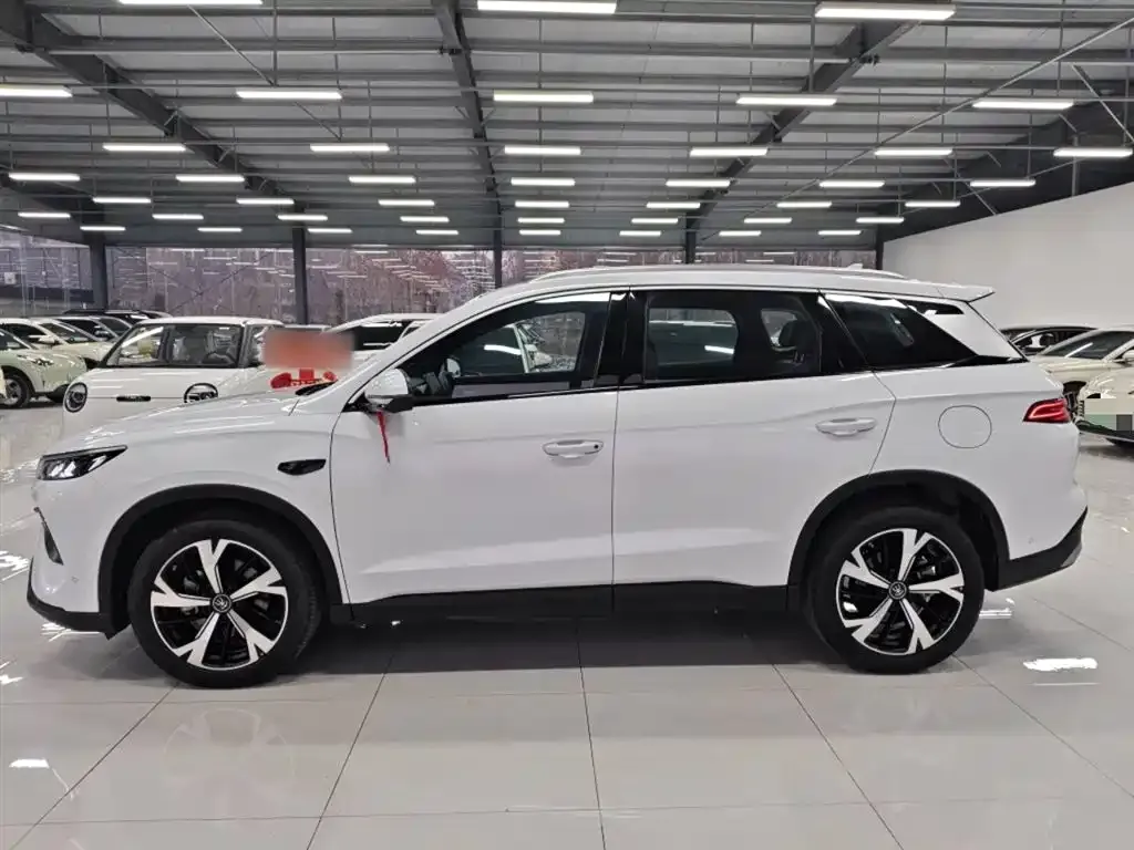 BYD Pro New Energy 2025 из CN, фото 3