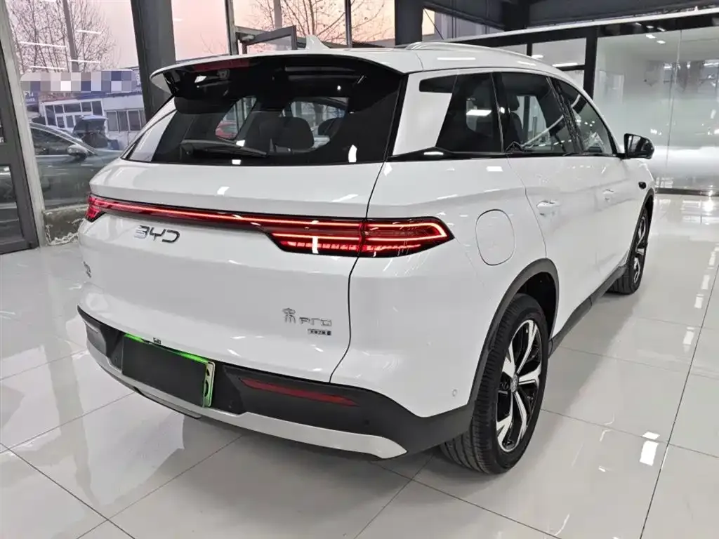 BYD Pro New Energy 2025 из CN, фото 6
