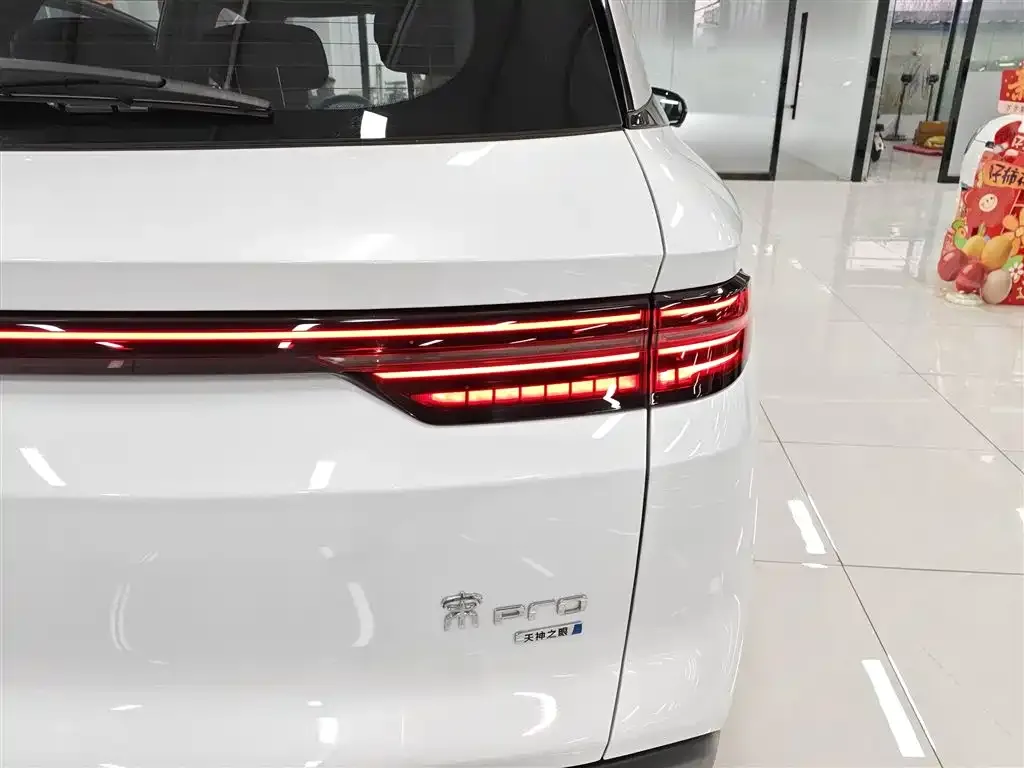 BYD Pro New Energy 2025 из CN, фото 7