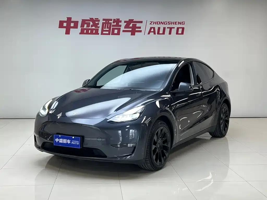 Tesla Model Y — фото 1