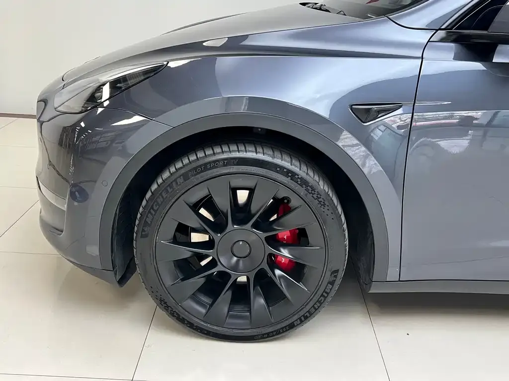 Tesla Model Y — фото 2