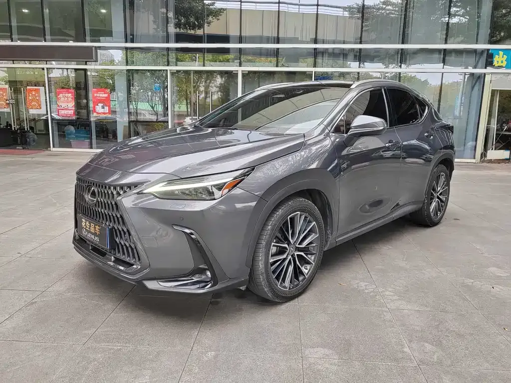 Lexus NX 2022 из CN, фото 1