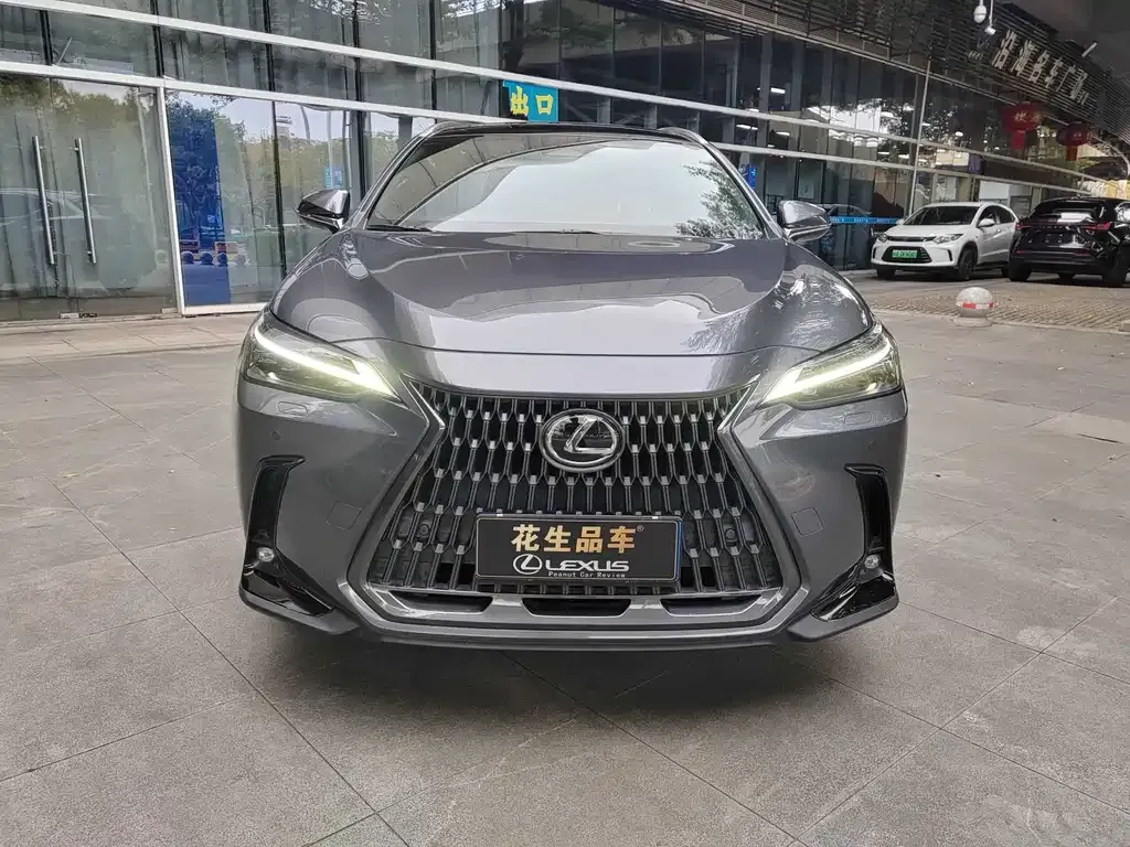 Lexus NX 2022 из CN, фото 9