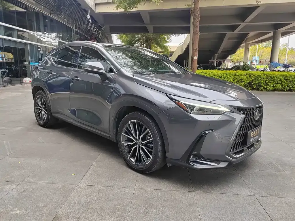 Lexus NX 2022 из CN, фото 3