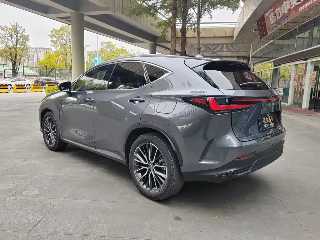 Lexus NX 2022 из CN, фото 7