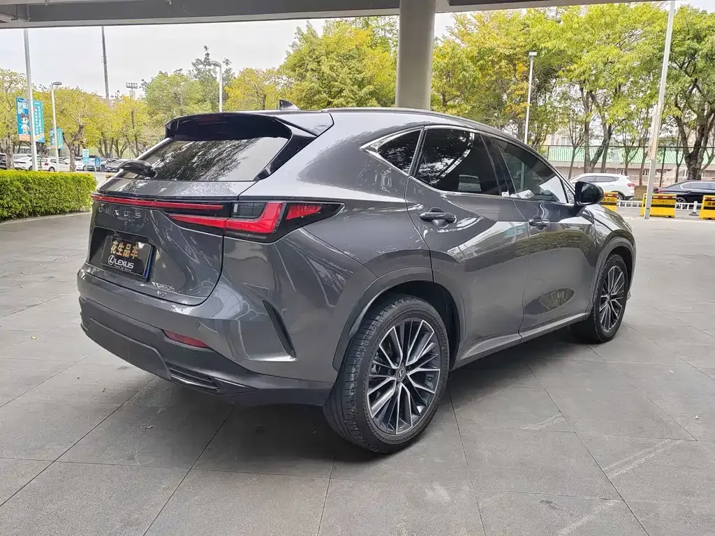 Lexus NX 2022 из CN, фото 8