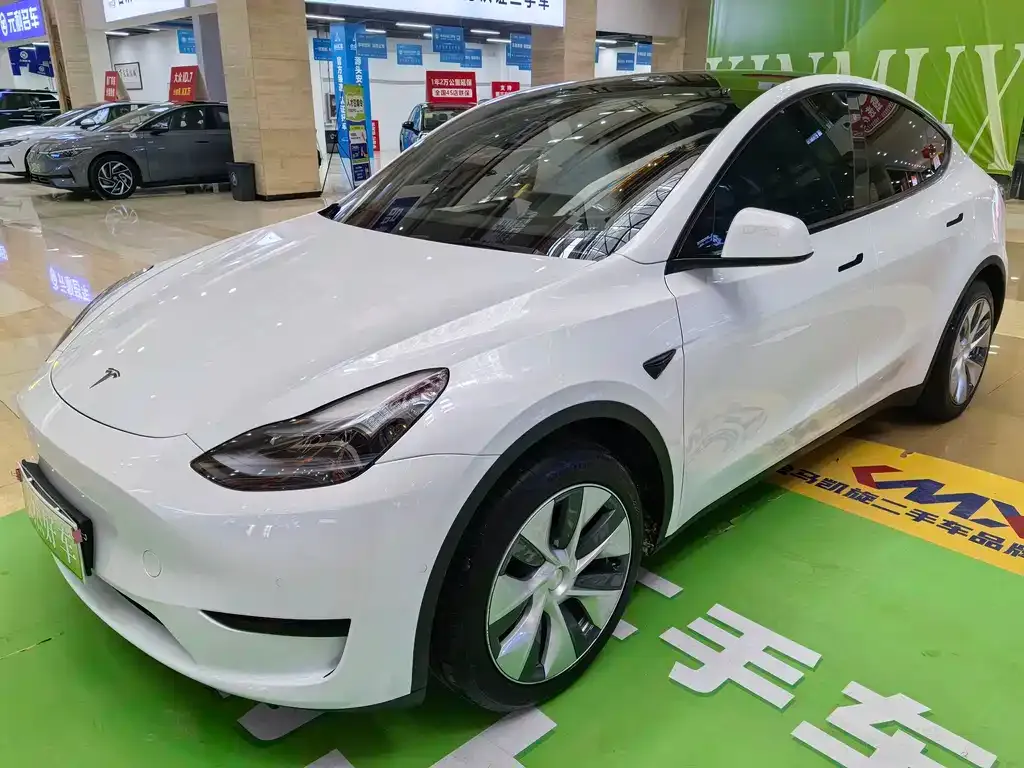 Tesla Model Y 2023 из CN, фото 1