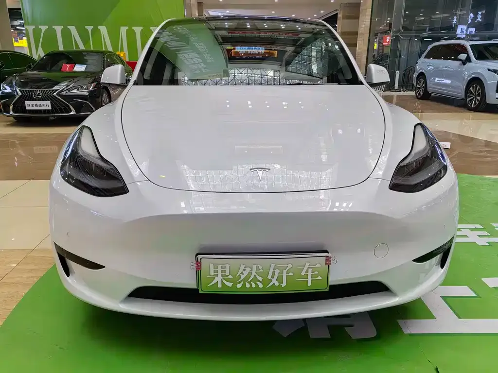 Tesla Model Y 2023 из CN, фото 6