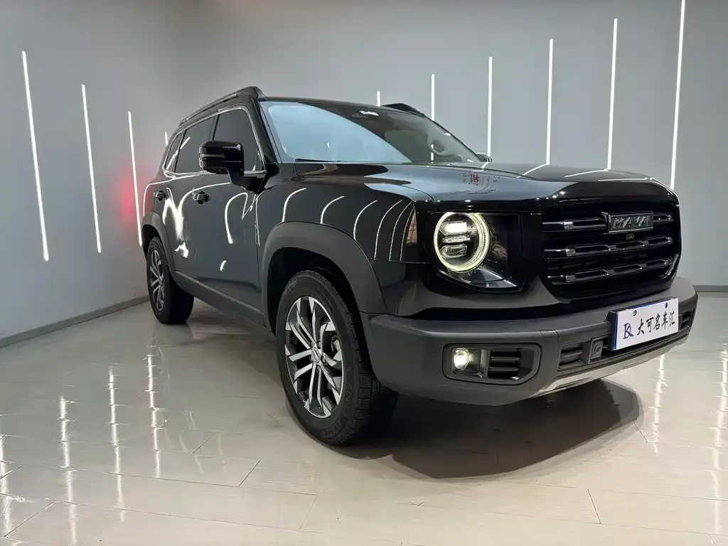 Haval Big Dog 2022 из CN, фото 6