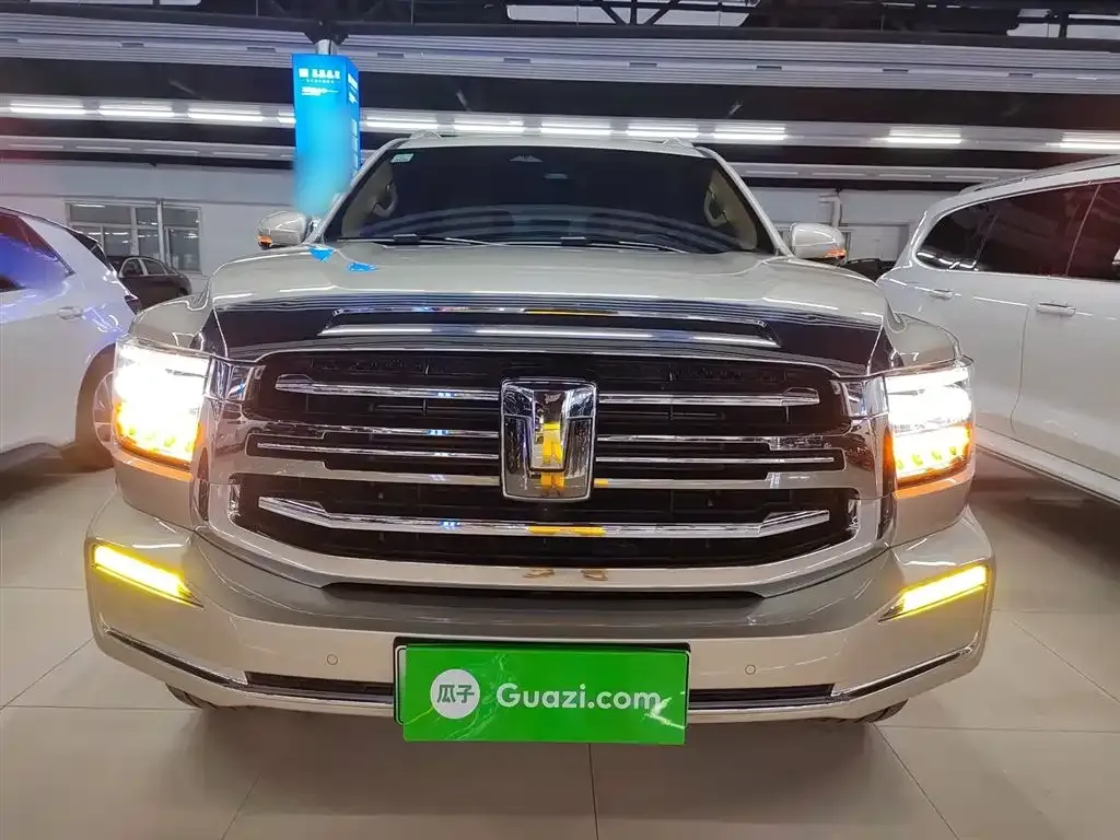 Tank 500 New Energy 2024 из CN, фото 8